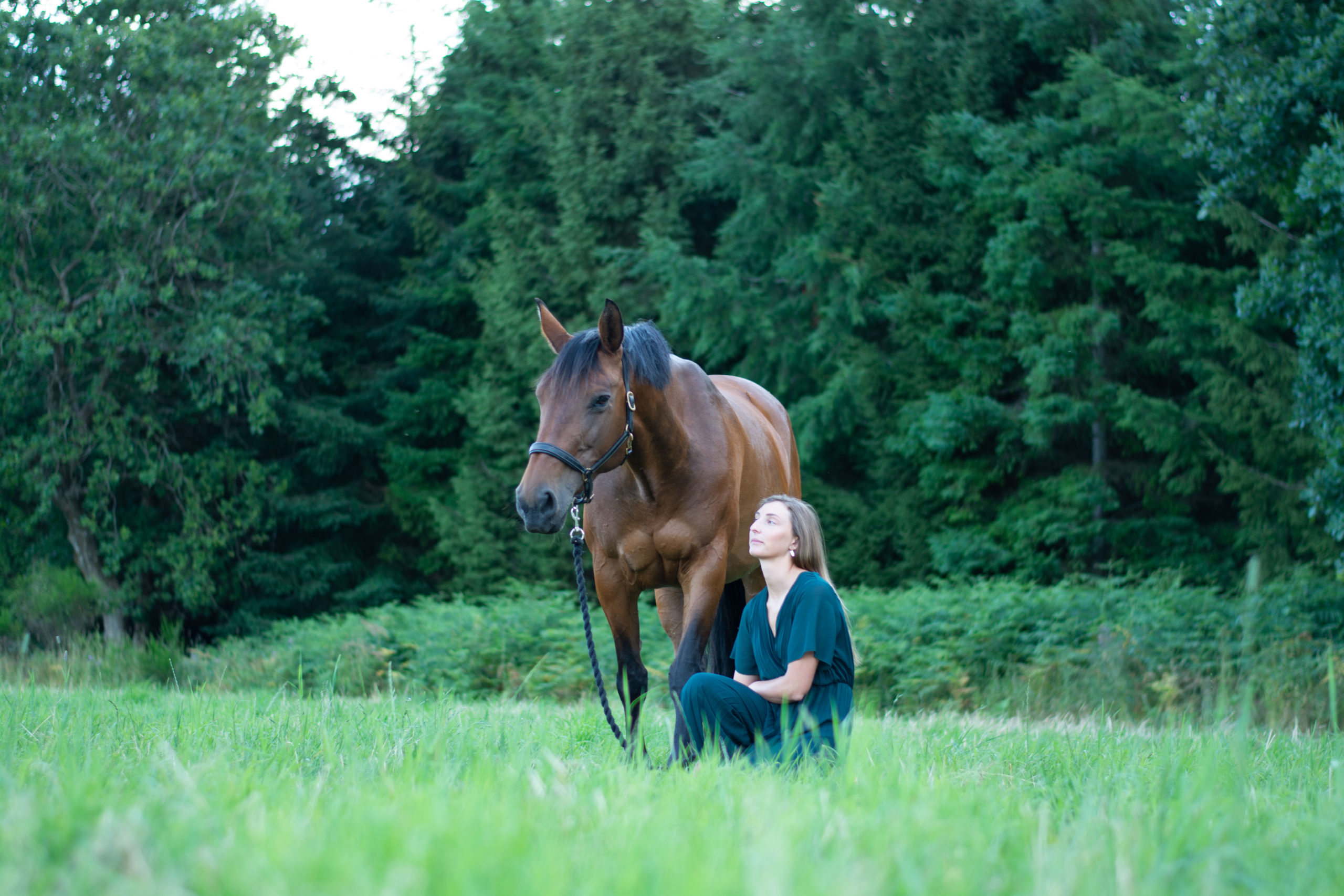 Anne-Sophie Delges Horses 