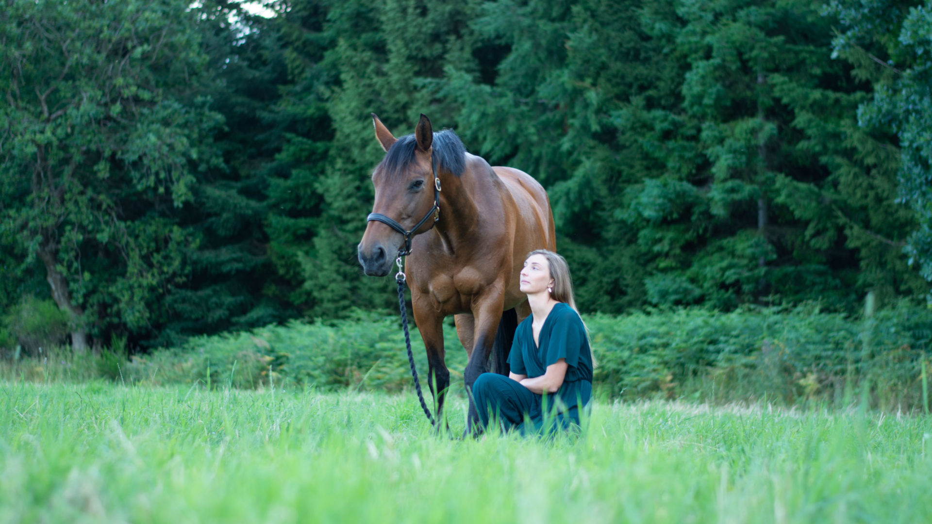 Anne-Sophie Delges Horses - Bien être équin et suivi sportif